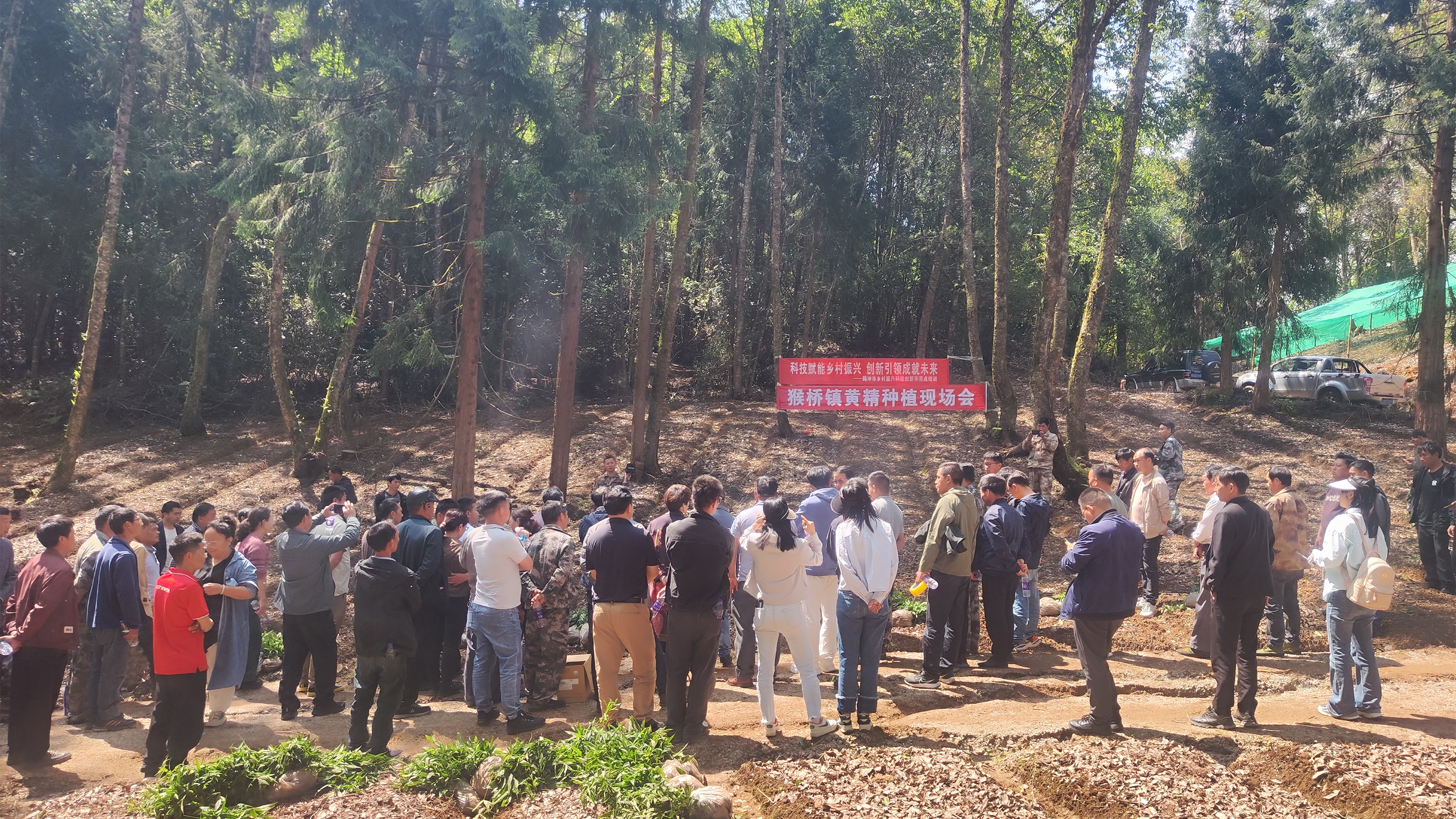 恒益本草源林下黃精種植技術(shù)培訓(xùn)會(huì)圓滿(mǎn)舉行